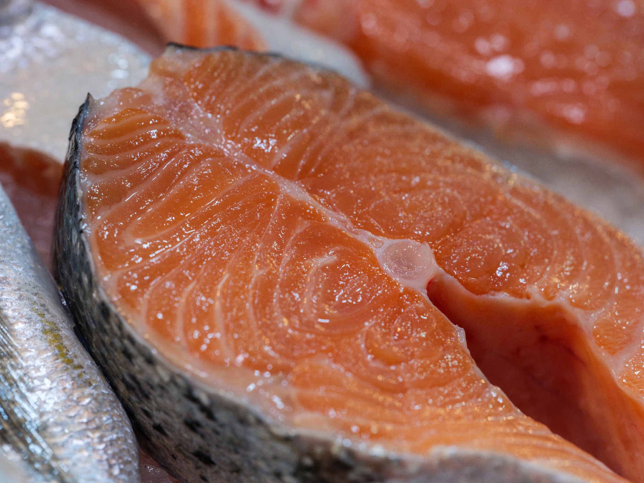 Fresh salmon for pasta and rice dishes